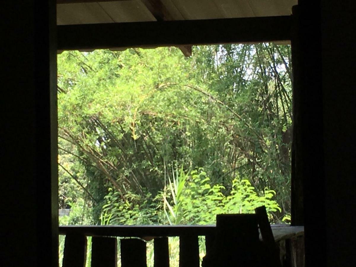 Chiang Dao Hostel Eksteriør billede